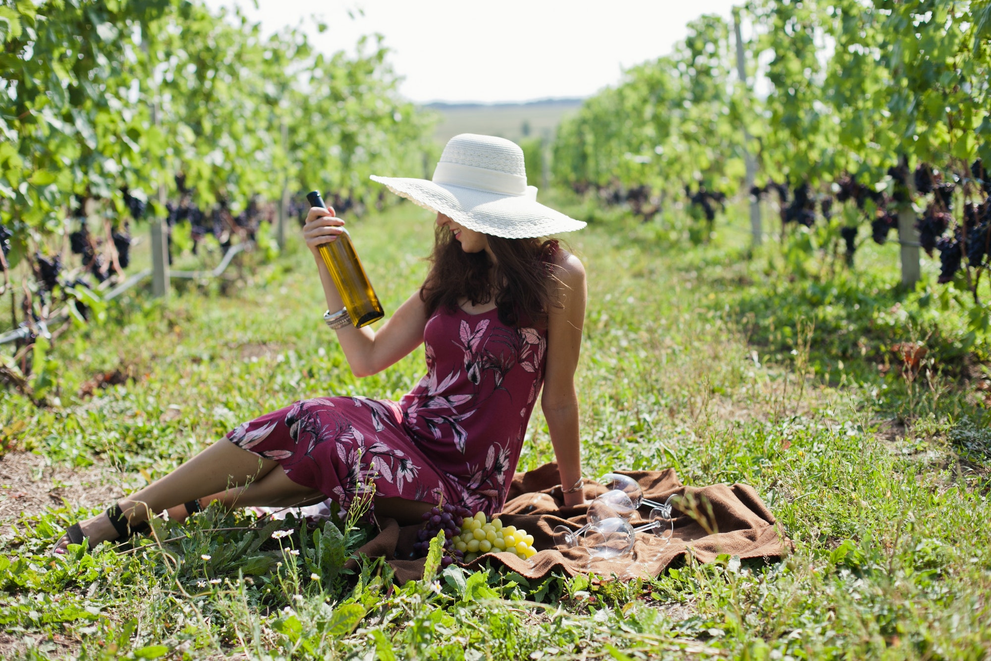 Woman in burgundy dress holding a bottle of wine, having picnic on winery between two grapevines